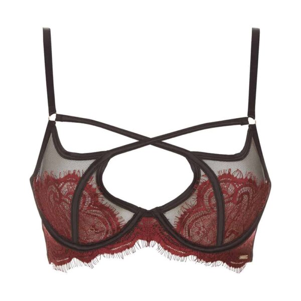 Bra With red lace on black fishnet with crossed elastic Adelia by Bluebella