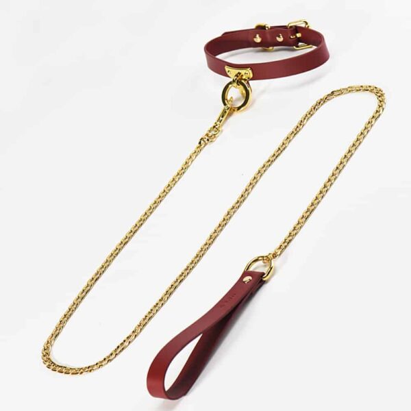 Burgundy leather chocker collar and gold leash for roleplay UPKO at Brigade Mondaine
