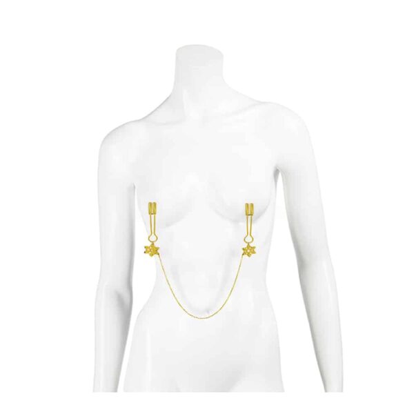 Gold flake nipple clamps with chain and UPKO pendants at Brigade Mondaine