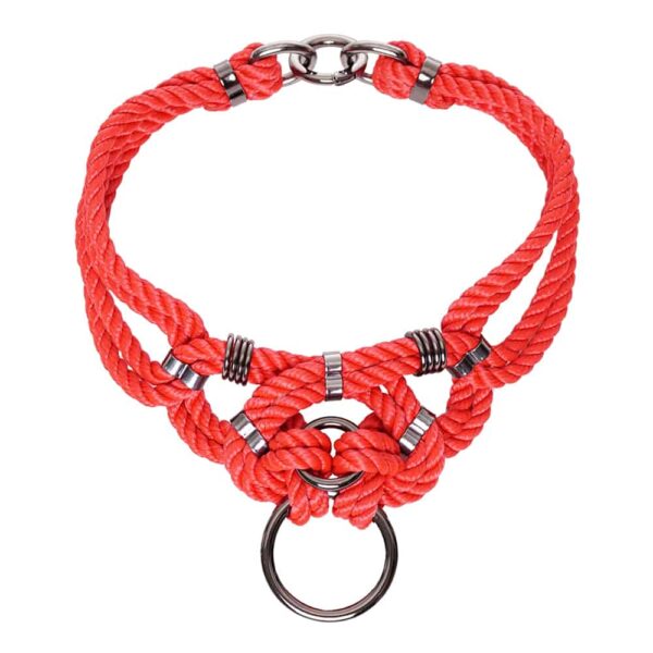 bdsm-Halskette aus roten Seilen mit Details aus Silber