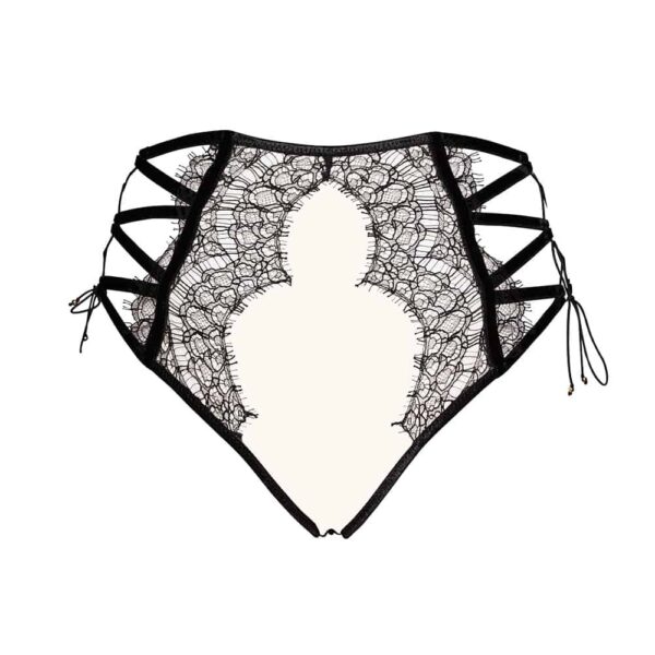 Lilitus high briefs combining fishnet, lace and elastic, to form strong and timeless pieces