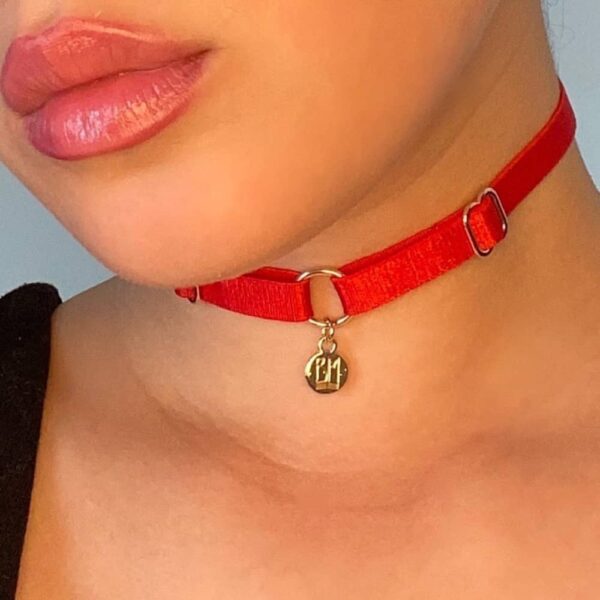 Collier BM inclut dans le pack cadeau Brigade Mondaine. Le produit est un choker simple avec un tour de cou en élastique rouge et un pendentif doré embossé du logo Brigade Mondaine. Ce bijoux est attaché au collier par un anneau. L’ensemble du produit est réglable.