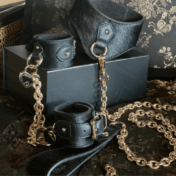 BDSM-Luxusprodukte aus schwarzem Leder, die auf einer Schachtel liegen