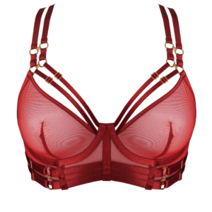 The Underwired Bustier Bra is one of the strongest pieces in the Kleio collection. The Kleio Bodice Bra combines soft elastic and luxurious semi-sheer mesh to create a style that is perfect for comfort and support. 24 karat gold plated wide zip closure. The shoulders are unobstructed, and the breasts are enhanced with the comfort of four fully adjustable straps at the front and back. Kleio is available in 3 colors, black, burnt red and the brand new sage green, all available at Brigade Mondaine.