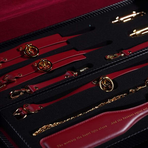 Bondage case Paradise Regained red leather