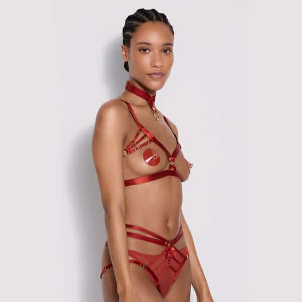 Set Signature of the brand Bordelle a woman with red nippies, several straps and necklace all enseble.