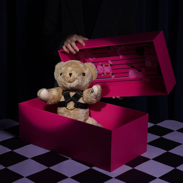 BDSM Bear with me by UPKO - Brigade Mondaine Paris