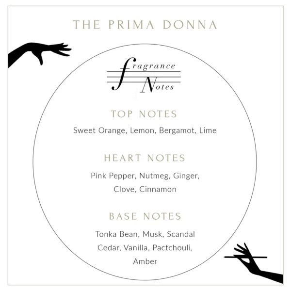 Description of the Prima Donna candle in English