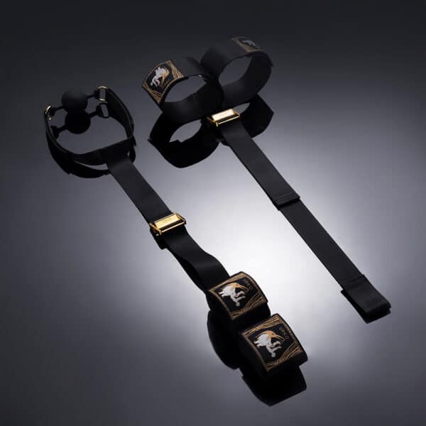 Bondage-Set mit Handhalteband Fußhalteband und drei Zubehörteilen Silikonknebel
