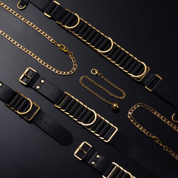 Black background photograph of a black bondage set, showing a belt and gold chains.