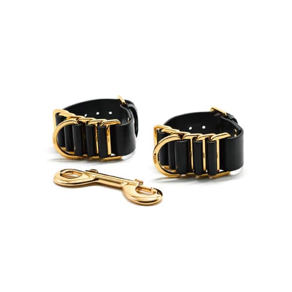 Photograph on a white background showing a pair of black handcuffs with gold details and a gold clip.