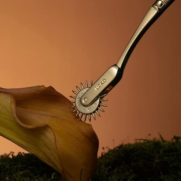 Image showing a golden metal roulette wheel on a yellow flower petal