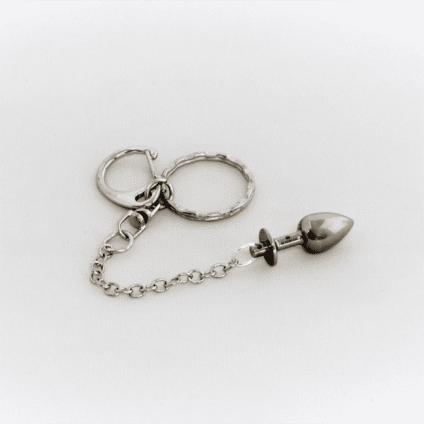 Bild auf weißem Hintergrund von einem silbernen Schlüsselring der Marke ROSEBUDS. Man sieht den Plug, die graue Kette und den silbernen Schlüsselring.