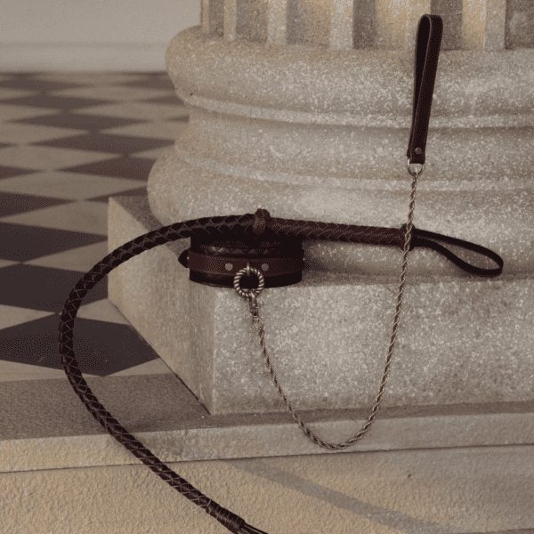 Close-up photograph of a black leather fleece collar and braided leather whip?