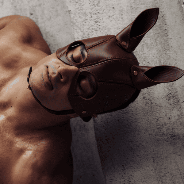 THE EQUESTRIAN - LEATHER MASK