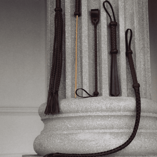 Photograph outside of a set of BDSM whip-type products.