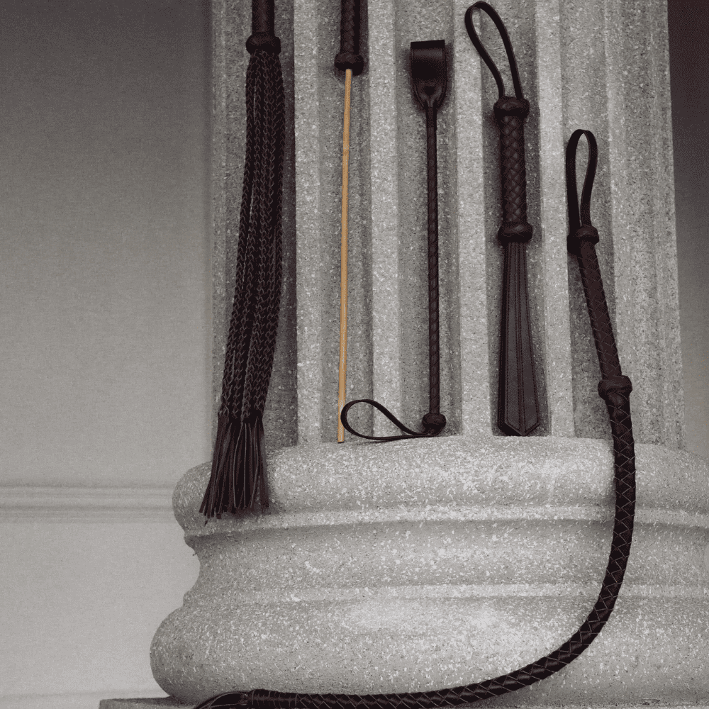Photograph outside of a set of BDSM whip-type products. 