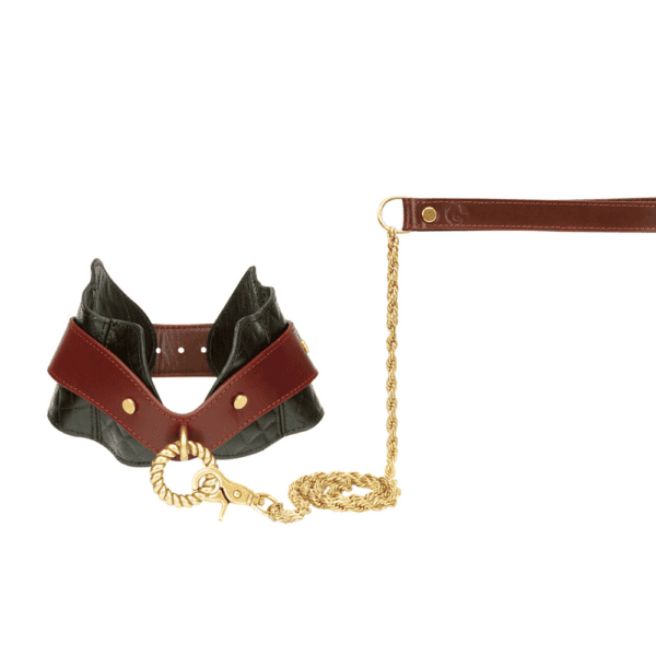 THE EQUESTRIAN LEATHER POSTURE COLLAR AND LEASH