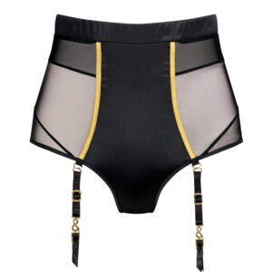 Image of a black and transparent brief with gold details.