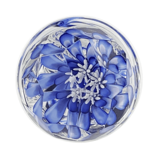 Fotografía sobre fondo blanco, packshot, consolador de cristal, transparente con forma de espiral y pintura azul y blanca en su interior.