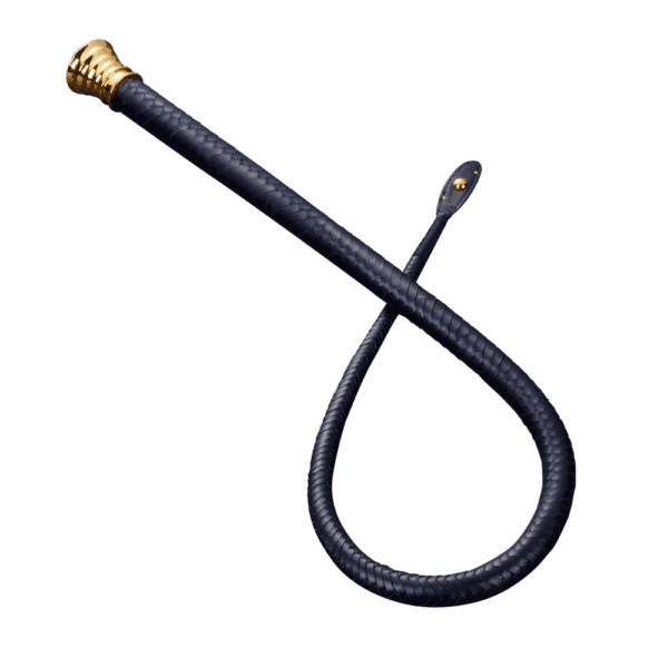 Black braided leather whip with embroidery details and gold handle with star