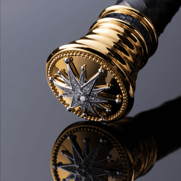 Fotografía brillante de una fusta de cuero trenzado negro con detalles bordados y asa dorada con estrella.