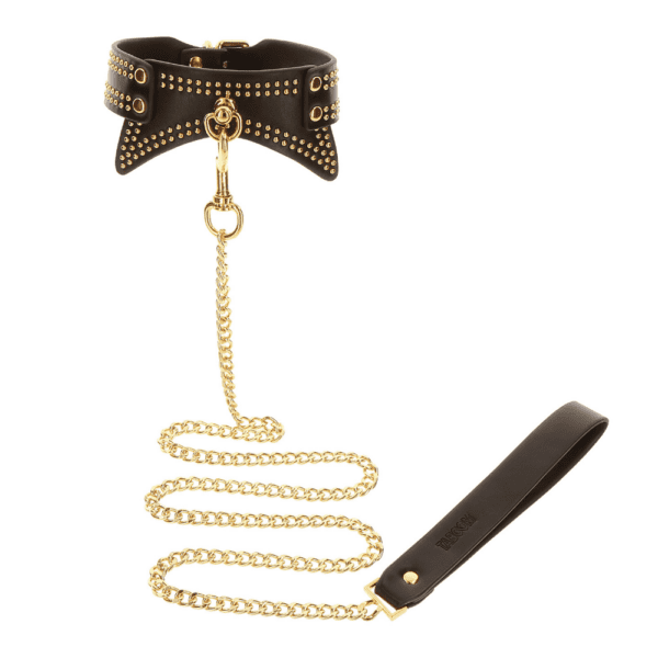 Foto von einem schwarzen Lederhalsband mit goldenen Details und einer Leine.