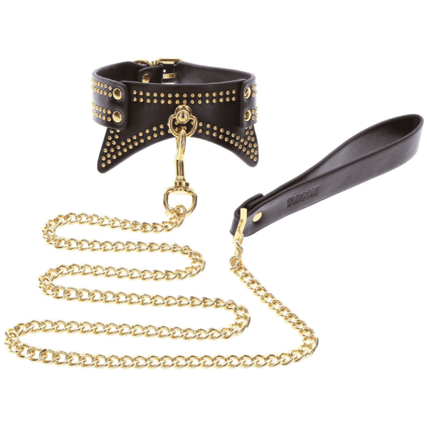 Photo d'un collier en cuir noir avec des détails dorés et une laisse.