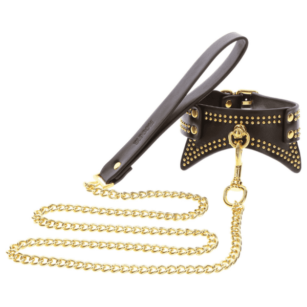 Photo of a black leather collar with gold details and leash.