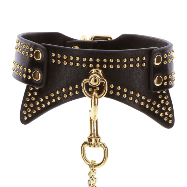 Halsband aus schwarzem Leder mit goldenen Details.