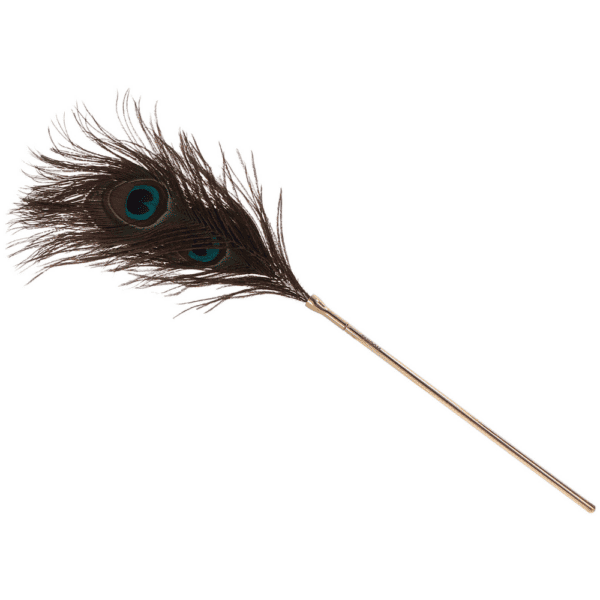 Peacock feather.