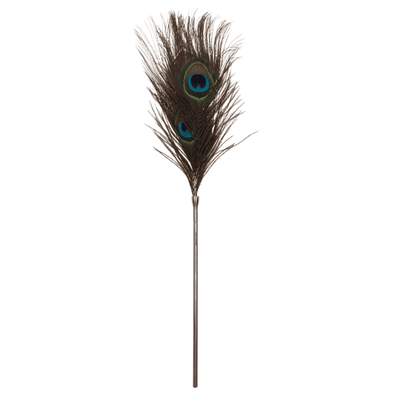 Peacock feather.