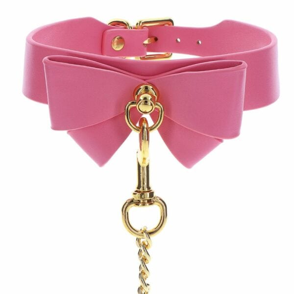 Packshot on white background of Brigade Mondaine's Girly collar and leash.