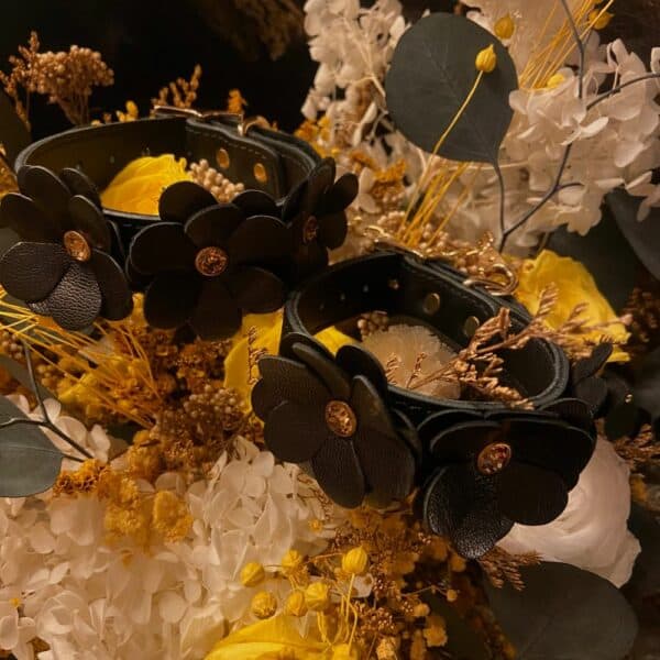 Colliers et laisses en cuir noir au design fleurs posés l'un à côté de l'autre sur un fond fleuri.
