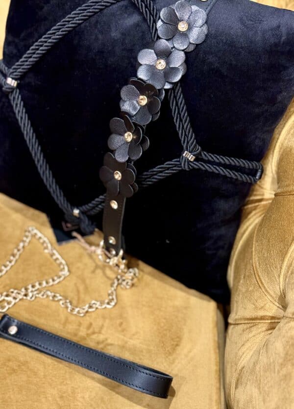 Black leather collar and lead in flower design with gold chain and rhinestones