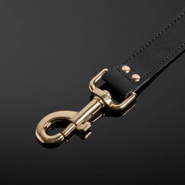 Detail of Black Nubuck Leather Leash on Packshot Buckle