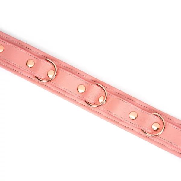 Packshot Chocker-Halskette aus rosafarbenem Leder mit Rose Gold-Attachment-Ring