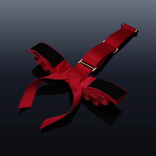 Set of Constraints Red Knot Polyester and Velvet Webbing Zinc Alloy Metal Parts