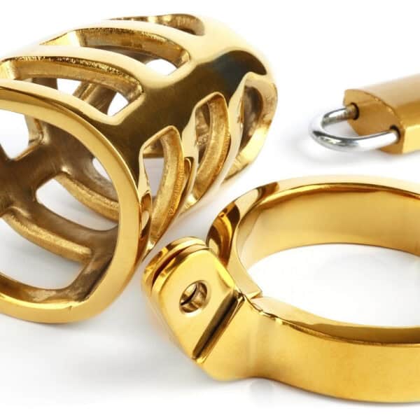 Jaula de castidad de acero inoxidable de alta calidad con acabado dorado Sistema de cierre con candado y llave