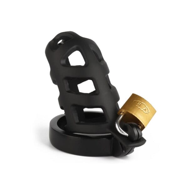 Packshot Jaula de castidad Acero inoxidable Sistema de cierre negro con candado y llave