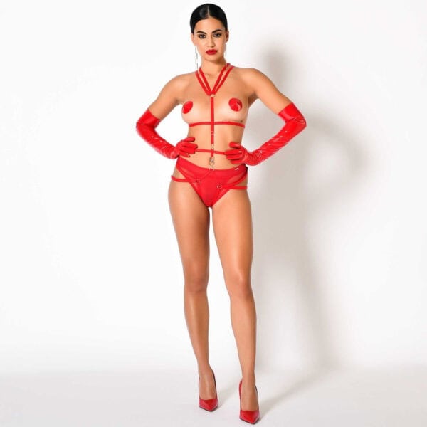 IMPUDIQUE Lingerie Brigade Mondaine (94)